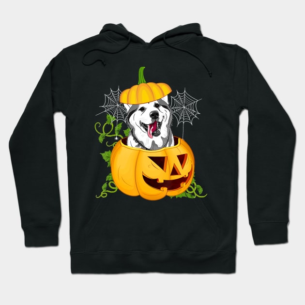 Funny Cute Pumpkin Halloween Dog Witch Pumpkin Husky Dog Hoodie by JaydeMargulies